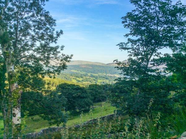 Tyn Llwyn Villa Dolgellau Luaran gambar